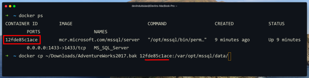 ms sql server client for mac